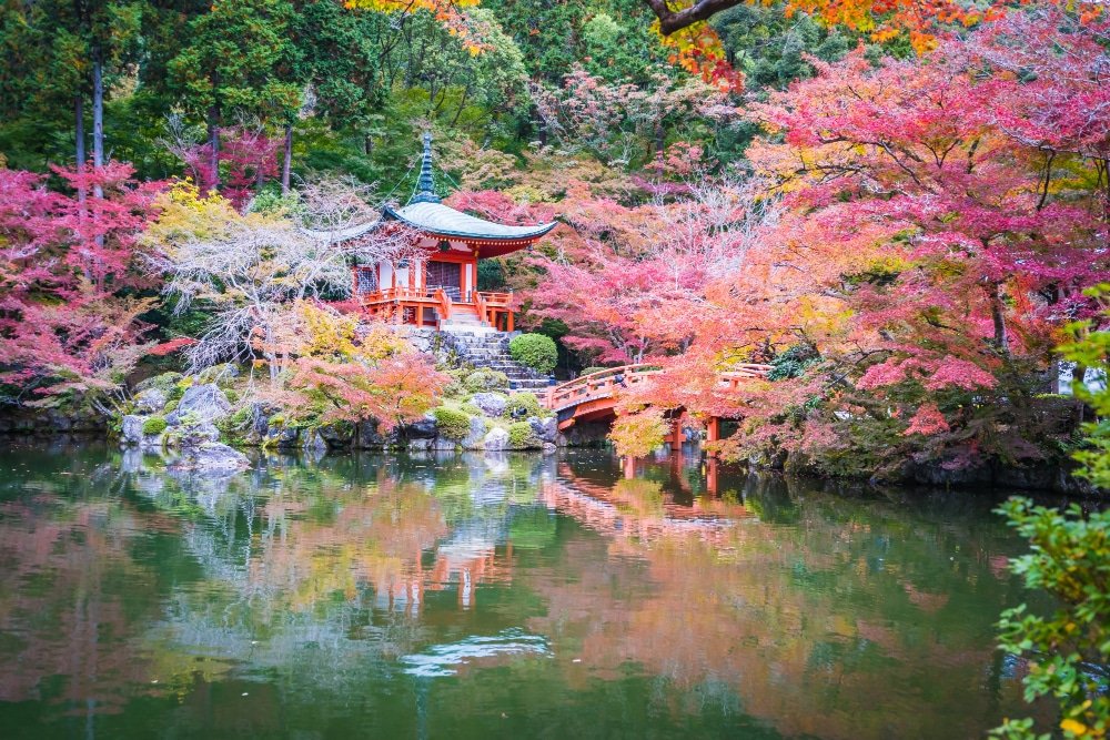 Como fazer um jardim japonês: passo a passo completo | Jardins