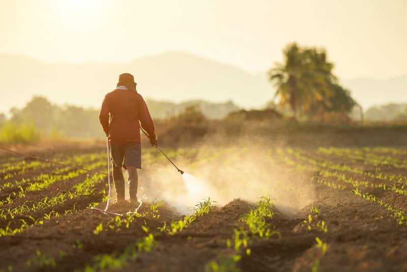 Agrotóxicos: Impactos, desafios e alternativas na agricultura contemporânea
